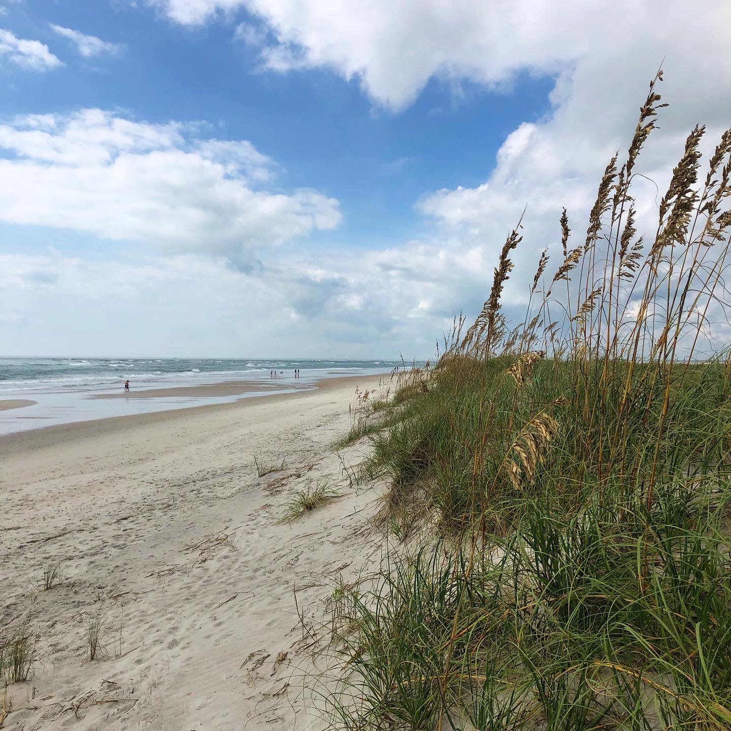 Topsail Island, NC: Your Ultimate Guide to Living & Visiting  Topsail 