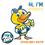 All Dry Services of Wilmington NC