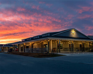 Photo of Salty Turtle Beer Company