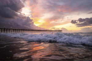 Mark Butler Images