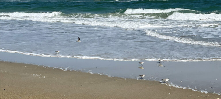 Town of Topsail Beach Suspends Seasonal Beach Access Permits