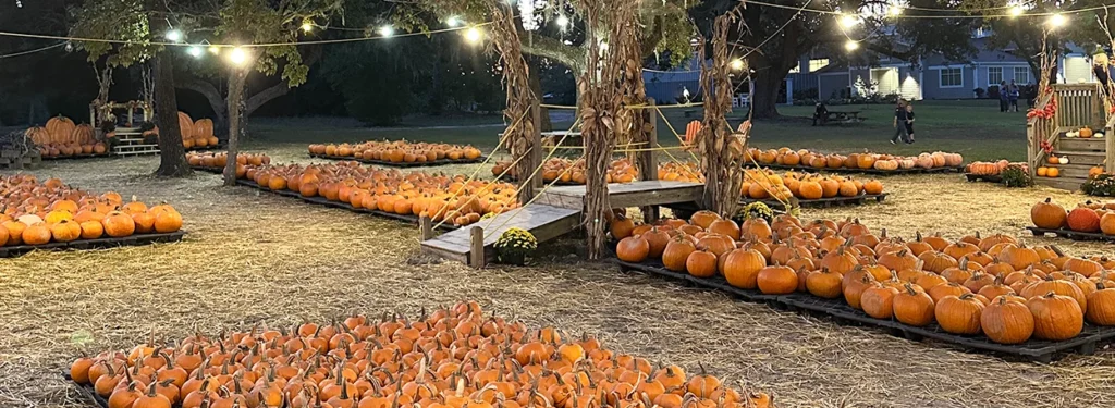 Pumpkins, Haunts & Trunk-or-Treats: What’s Hot Around Topsail This Halloween