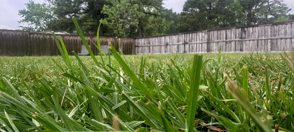 Sunday’s Rain Helps, But Can't Break Topsail Area's Drought