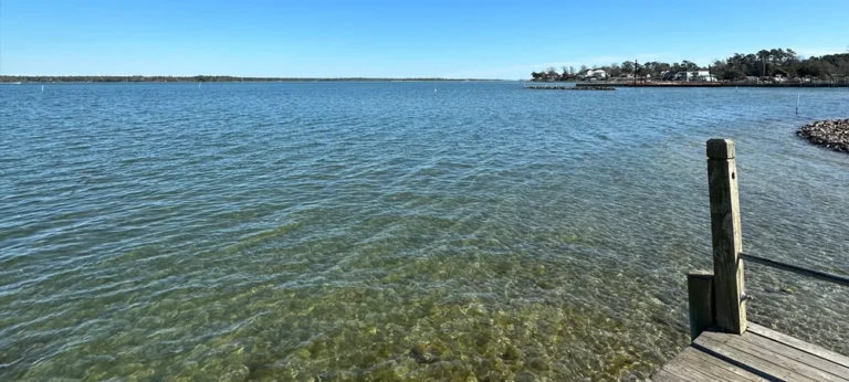 Oyster Farming Expansion in Topsail Waters Bring Opportunity & Concern