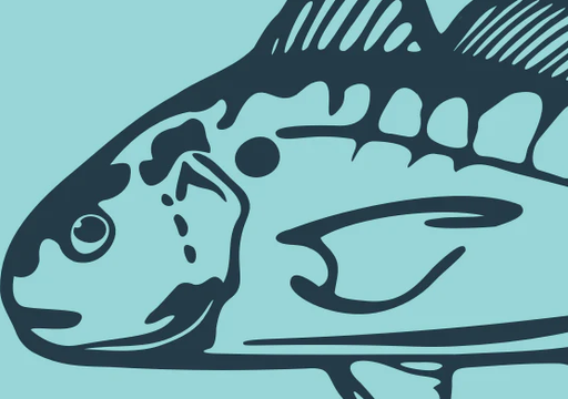 atlantic-seafood-co-retail-market.png
