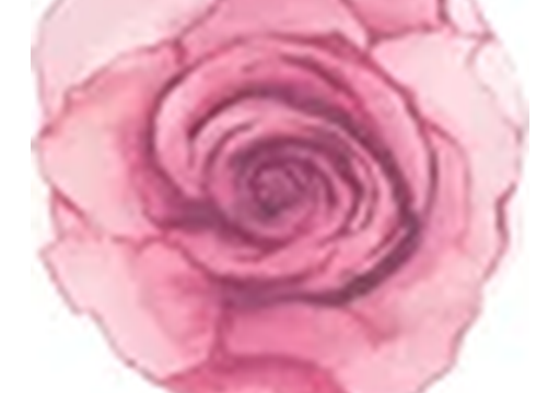 diana-rose-photography.png