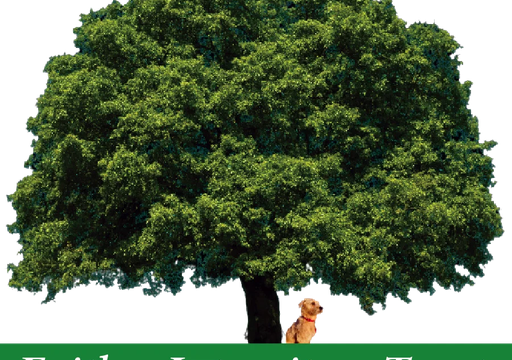 fit-financials-llc.png