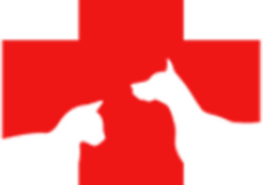 holly-ridge-veterinary-hospital.png