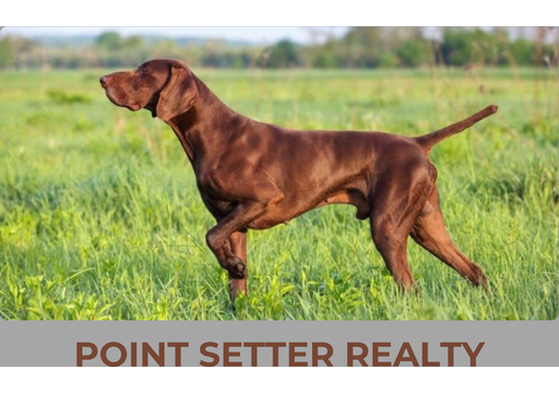 point-setter-realty.png