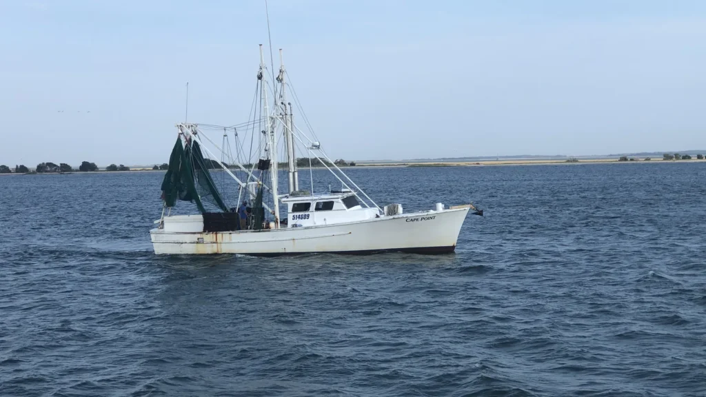 Superior Court Judge Rules North Carolina Failed Its Coastal Fisheries. Local Impacts: From Hampstead to Sneads Ferry