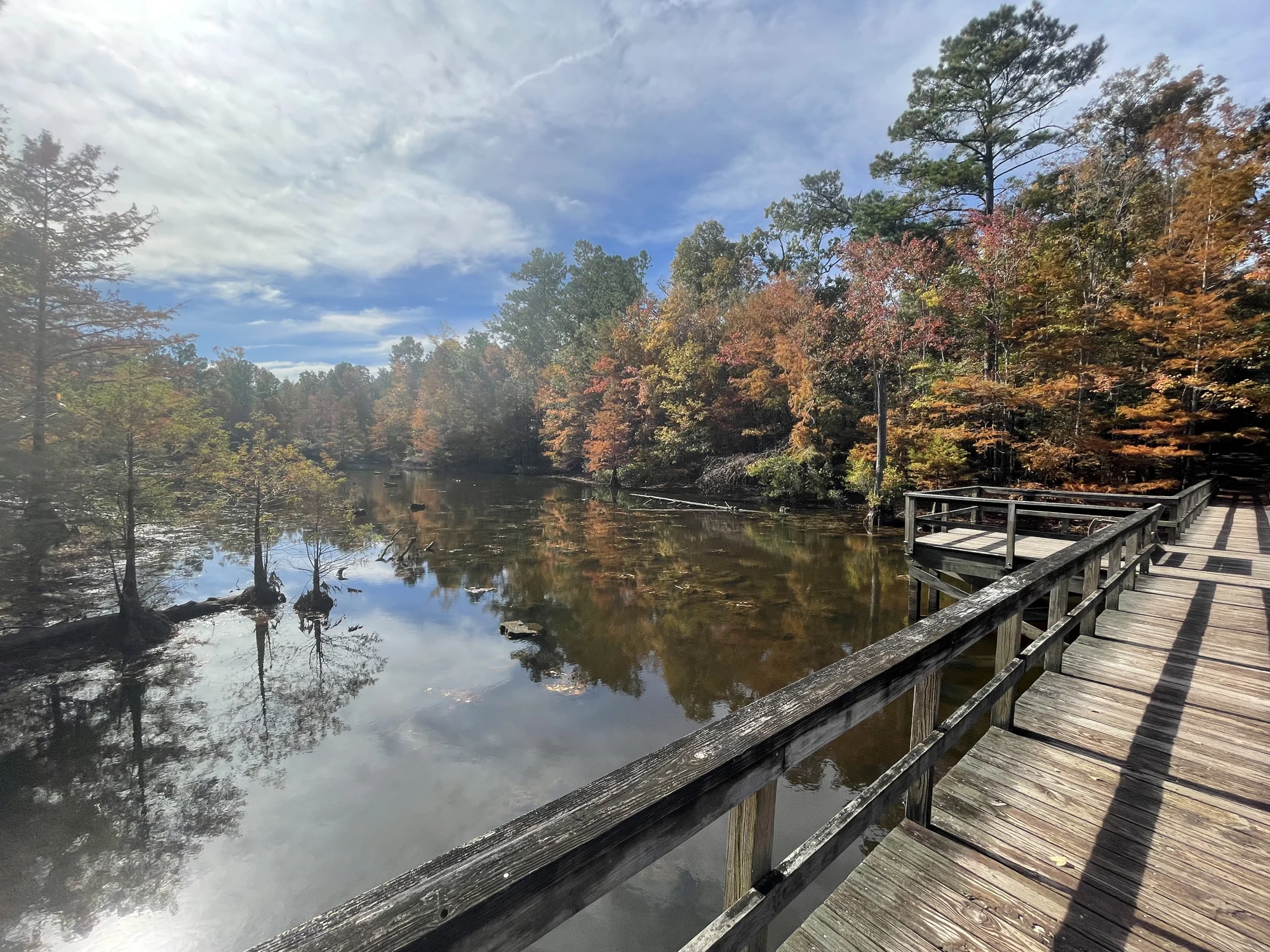 A boardwalk leading to a railed overlook platform above a pond.