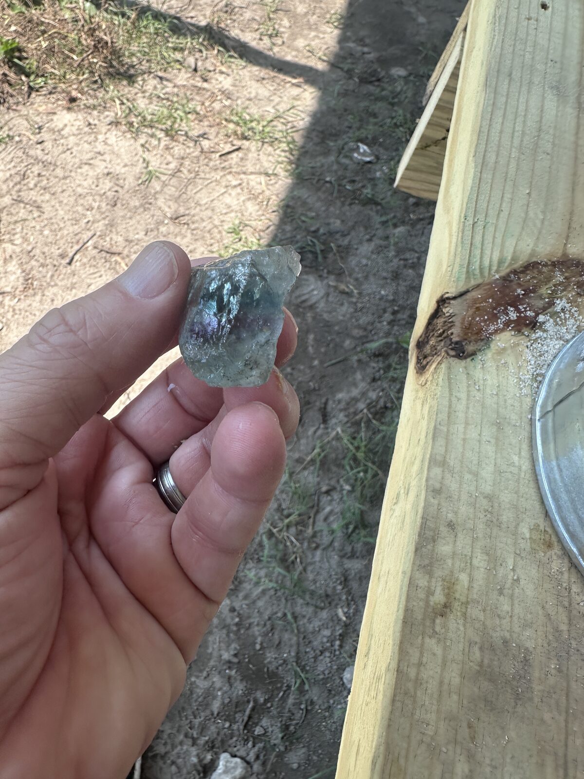 A hand holding a small green and purple fluorite crystal in sunlight beside the sluice