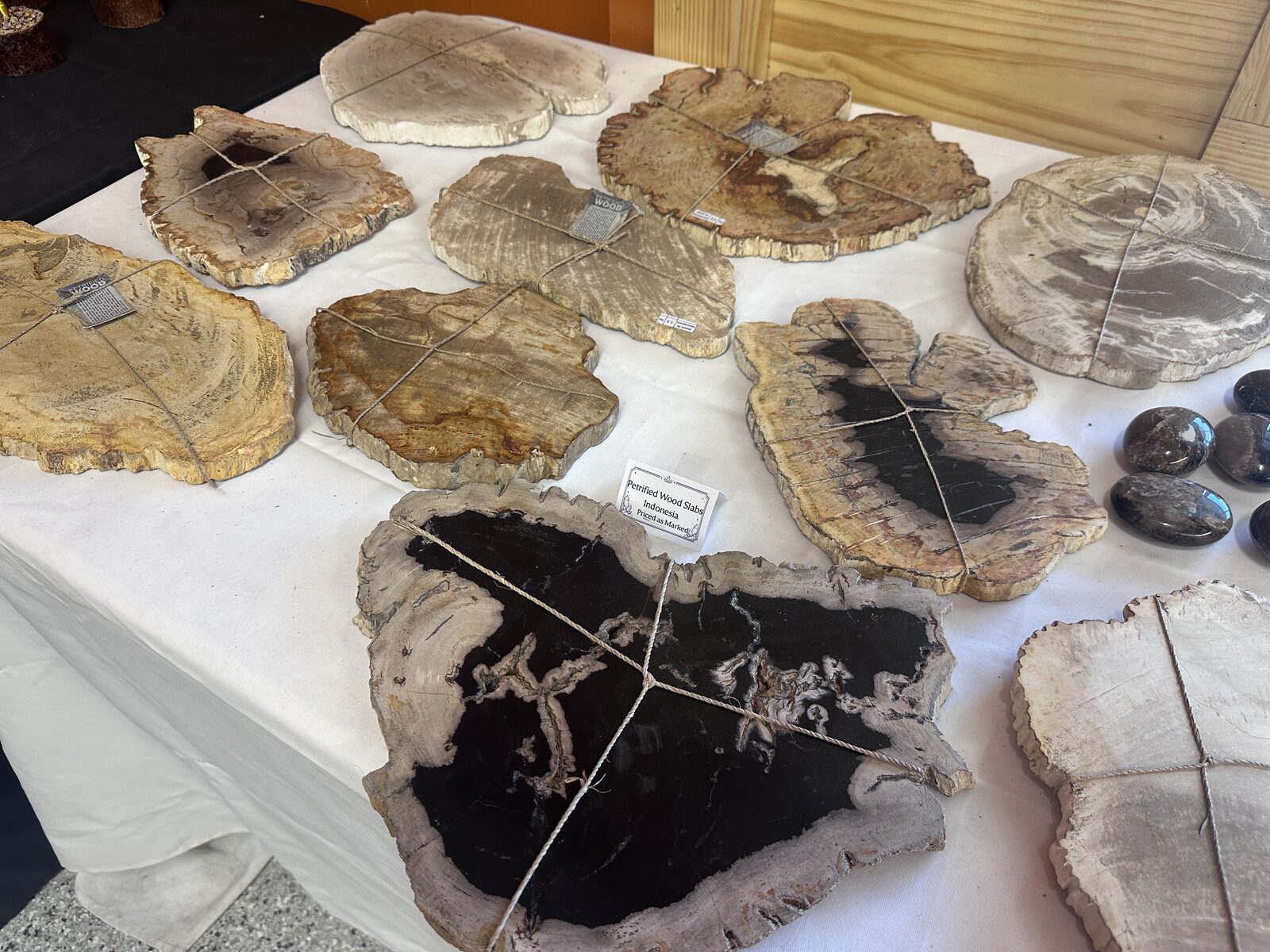 Large slabs of polished petrified wood from Indonesia laid flat on a white cloth table